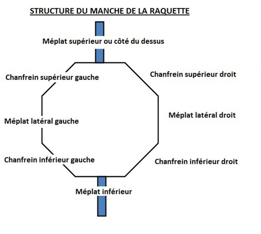 structure de la raquette de tennis