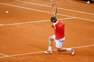 David Ferrer parfait symbole de l'implication dans le jeu