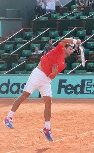 Djokovic bien relâché